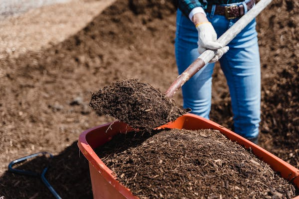 Creating a More Sustainable Home: 14 Tips for a Greener Future Picture24May23