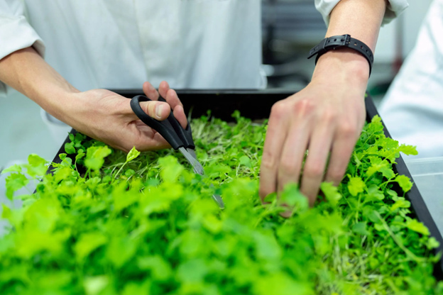 Creating a More Sustainable Home: 14 Tips for a Greener Future Picture44May23