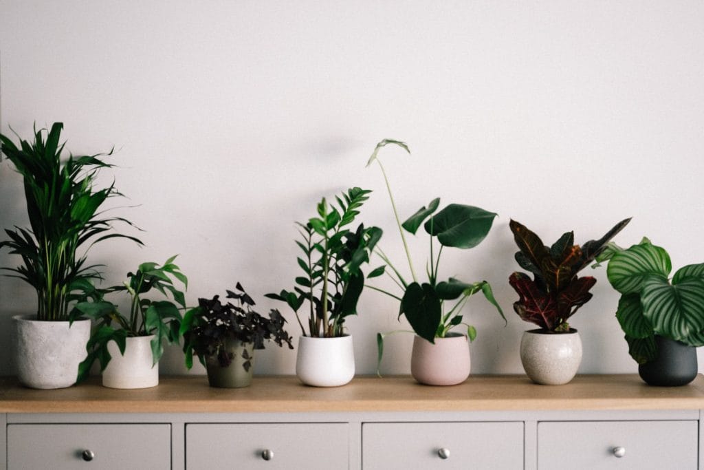 Tips for a Fresh Start in the New Year for your Home