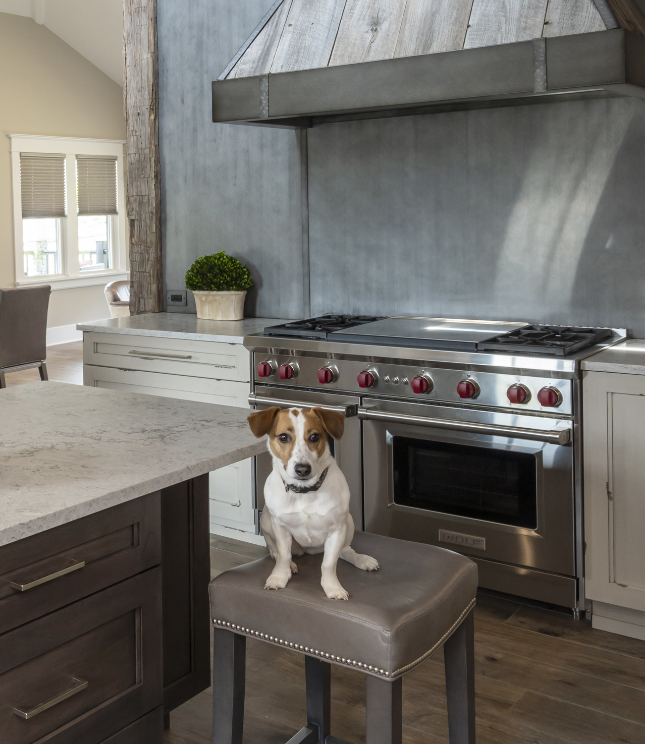About image by Lang's Home Remodeling About Sophie resizedb